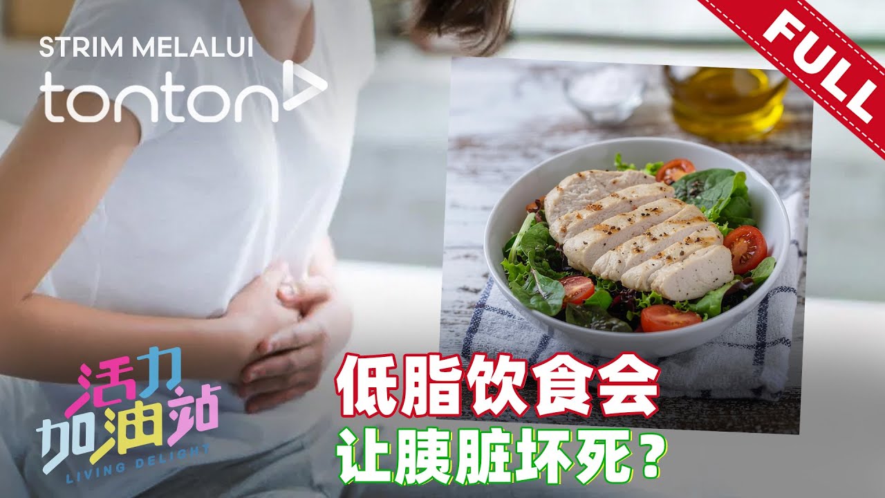 活力加油站 Living Delight (2025) | 2025年12月29日:  低脂饮食会让胰脏坏死？