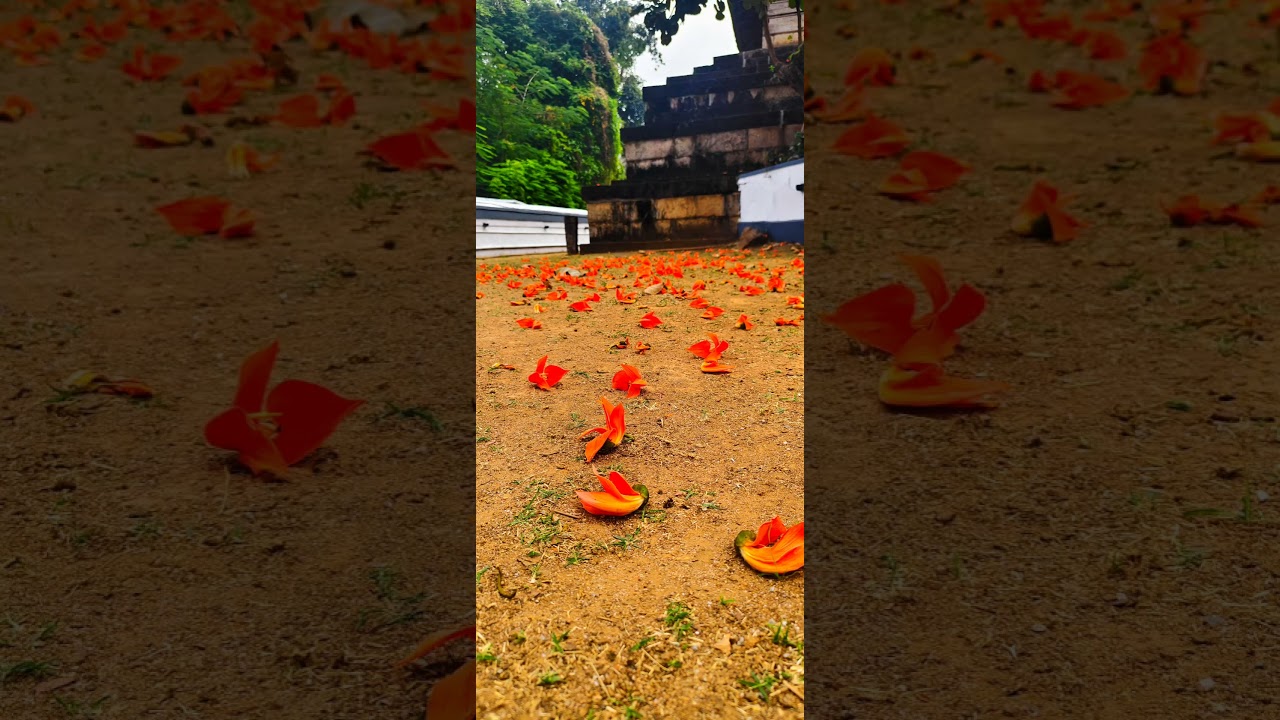തൃക്കൂർ മഹാദേവ ക്ഷേത്രം