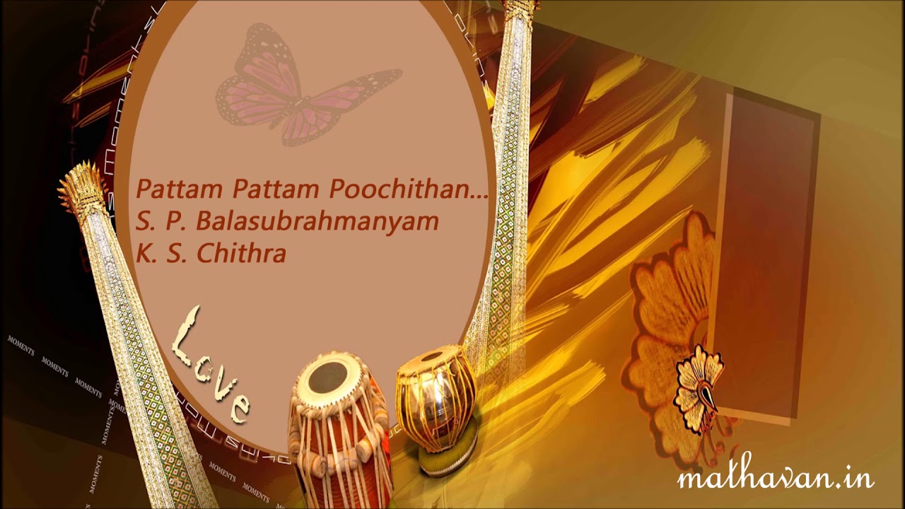 Pattam Pattam Poochithan | Gandhi Pirantha Mann | S. P. Balasubrahmanyam, K. S. Chithra
