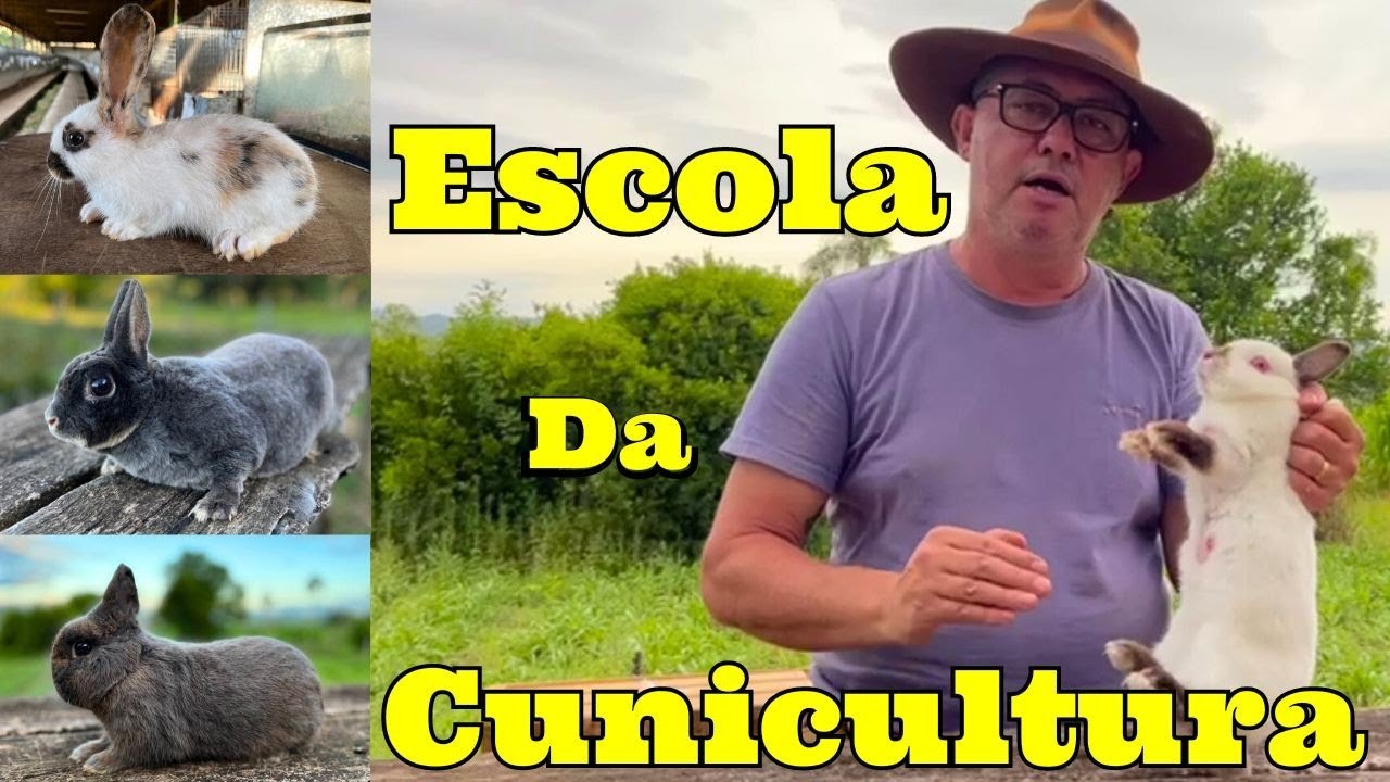 Aprenda tudo da Cunicultura Na prática/ Criação de Coelhos
