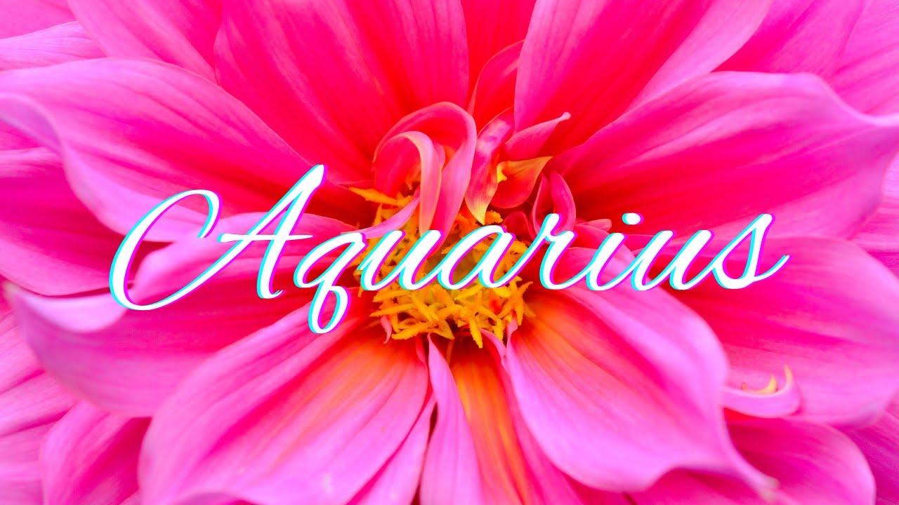 Aquarius✨Woah! Holding On To You - They'll Reach Out Soon✨You Vs.Them