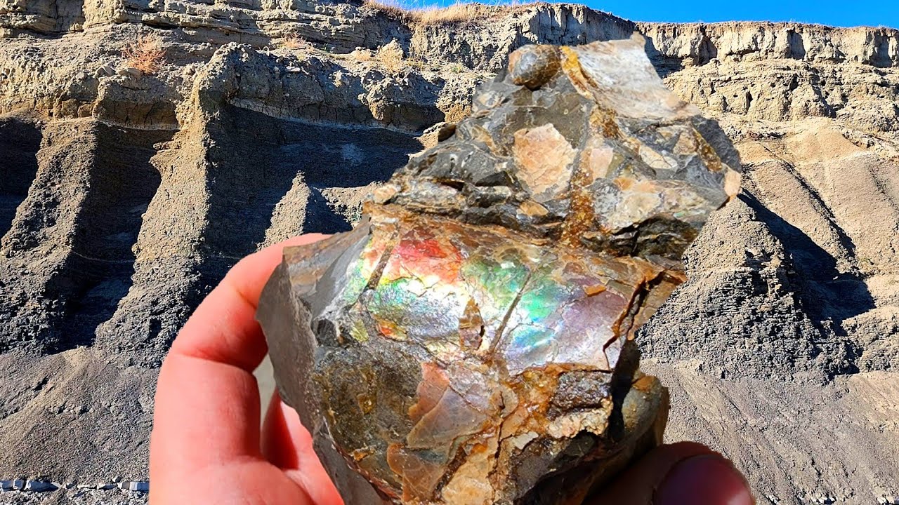 AMMOLITE, Iridescence & Crystals: Baculites! #Rockhounding