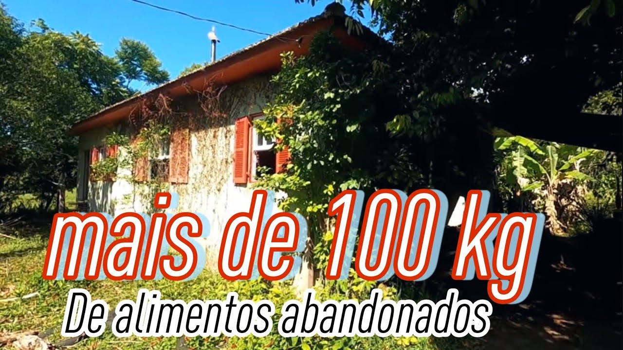 MISERICÓRDIA O FREEZER FICOU LIGADO COM MAIS DE 100KG DE COMIDAS DENTRO