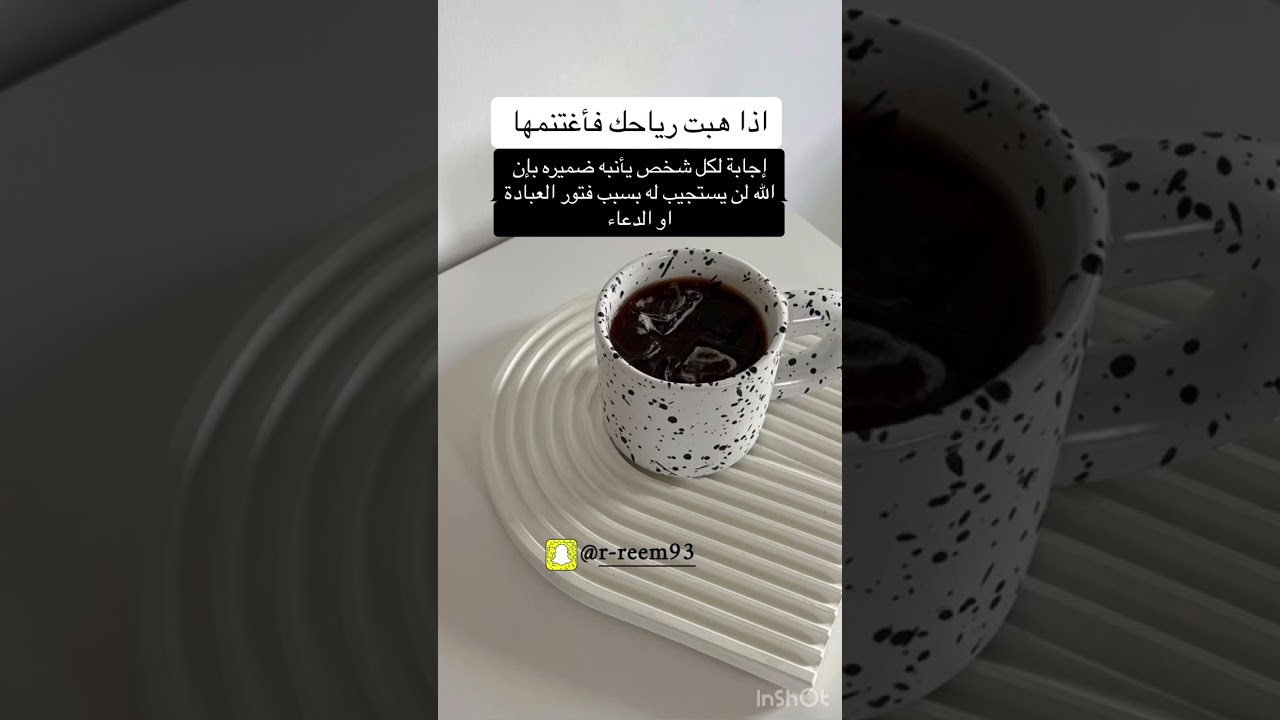 حقيقة تجهلها تقلب موازين حياتك هالفيديوا ستجد راحة لأمر احترت فيه كثيراً