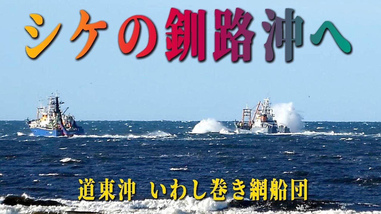 【釧路の漁業】シケの釧路沖へ！道東沖 いわし巻き網船団 (ノーCM) 2020年10月。