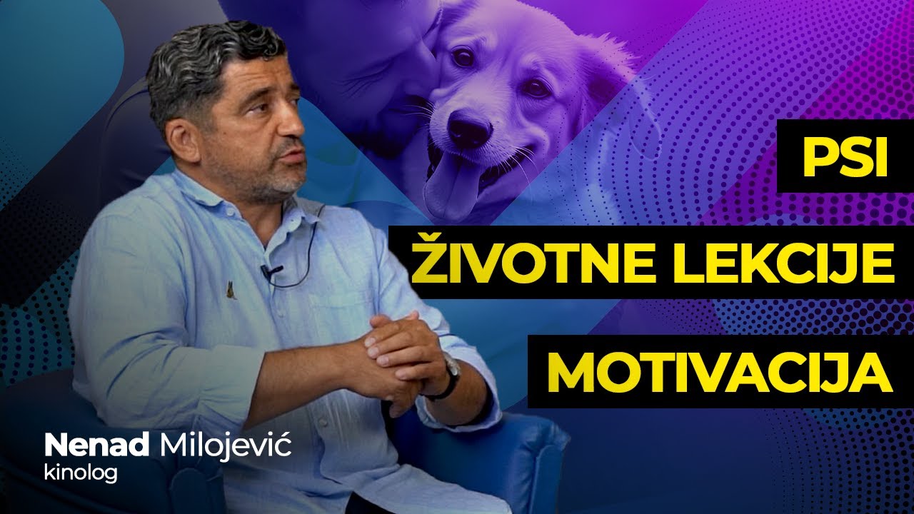 Motivacija, psi i životne lekcije sa Nenadom Milojevićem (#motivacija, #motivationstudio)