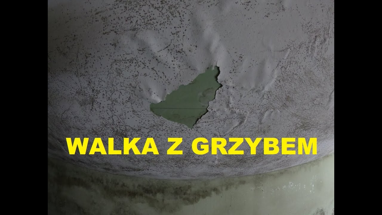 Walka z grzybem, pleśnią.. Zadanie specjalne.