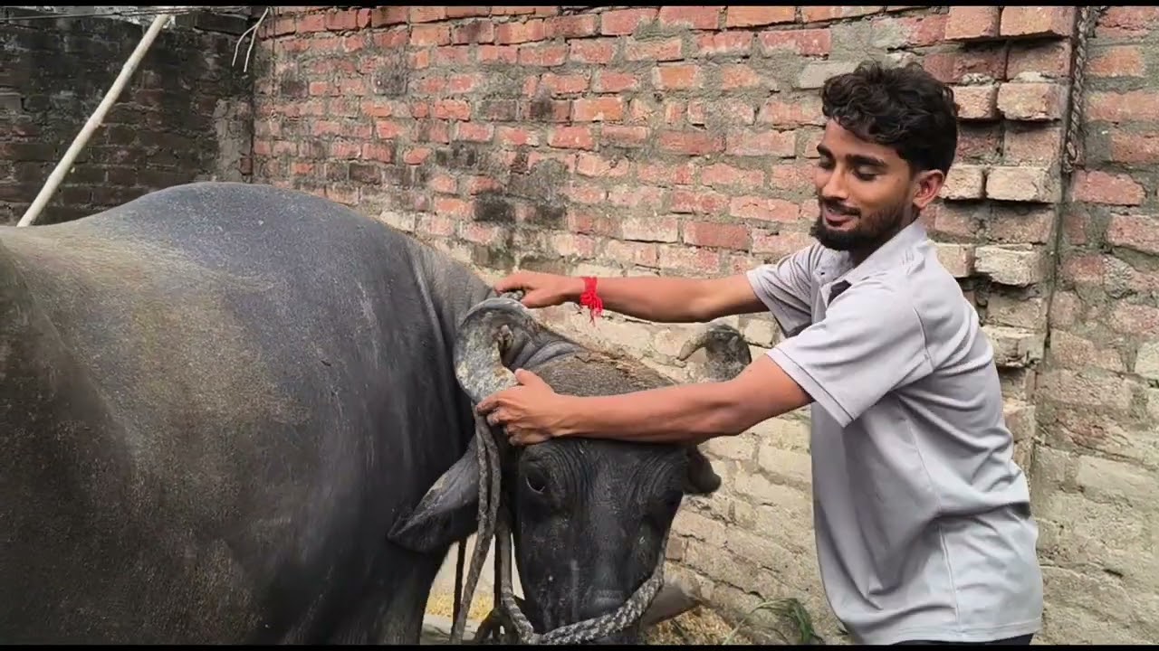 Old draft video aa gya 😀😃#vlog #video #viralvlog #video #like #subscribe #explore #surjeet_up42#like