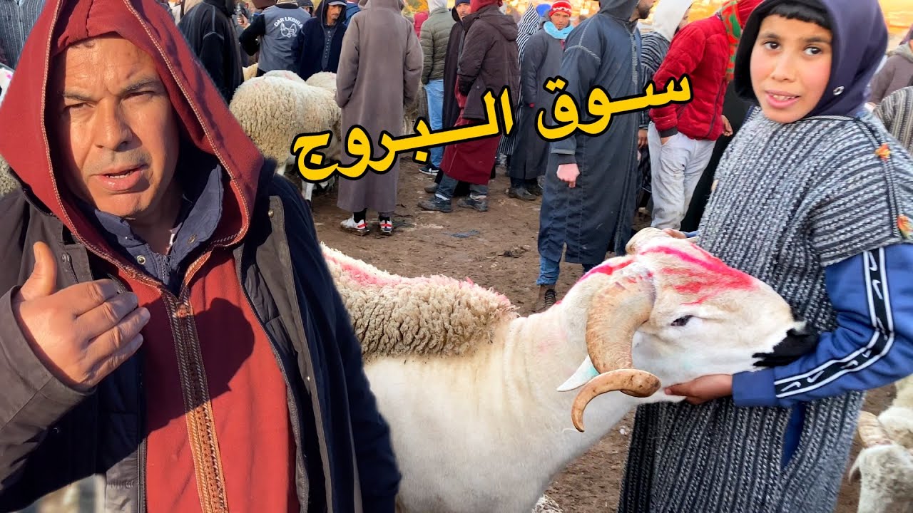 اليوم من سوق البروج 15/02/2026 خير موجود حولي والنعجة وحولية 🐏