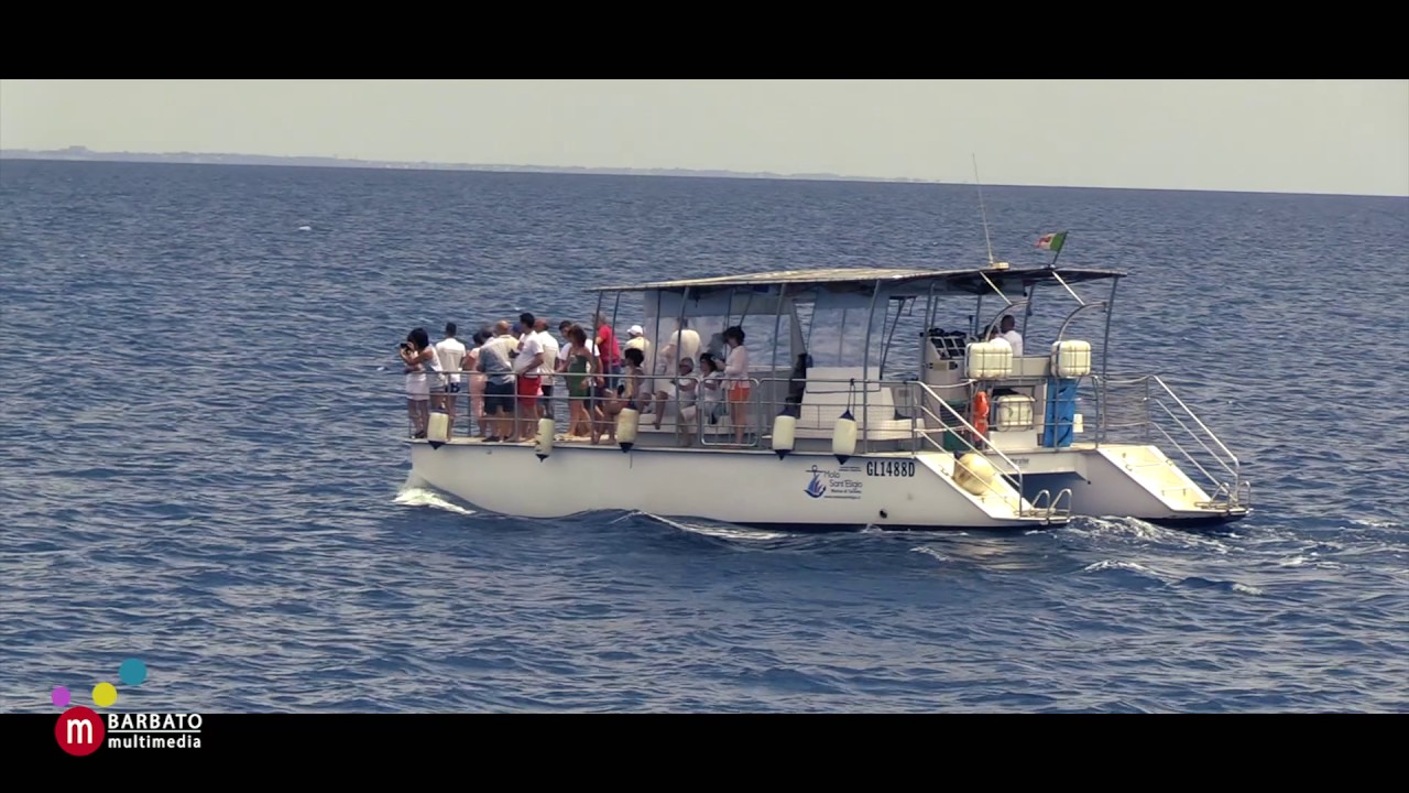 Una giornata da ricercatori con la Jonian Dolphin Conservation