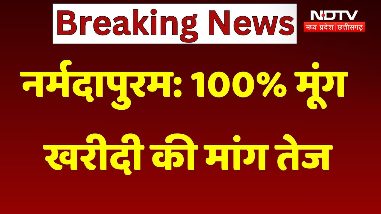 Narmadapuram Moong Procurement Demand: 100% Moong Procurement Demand Intensifies, Farmers Urge Go...