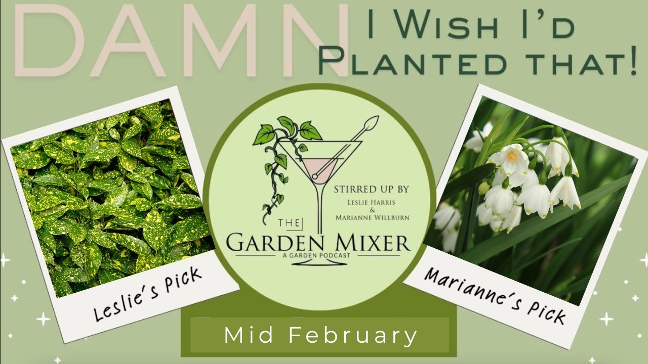 Two GREAT Plants for mid February