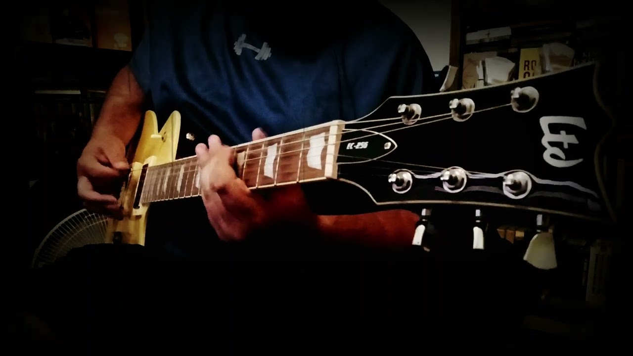 Blink 182 - The Rock Show | Guitar Cover
