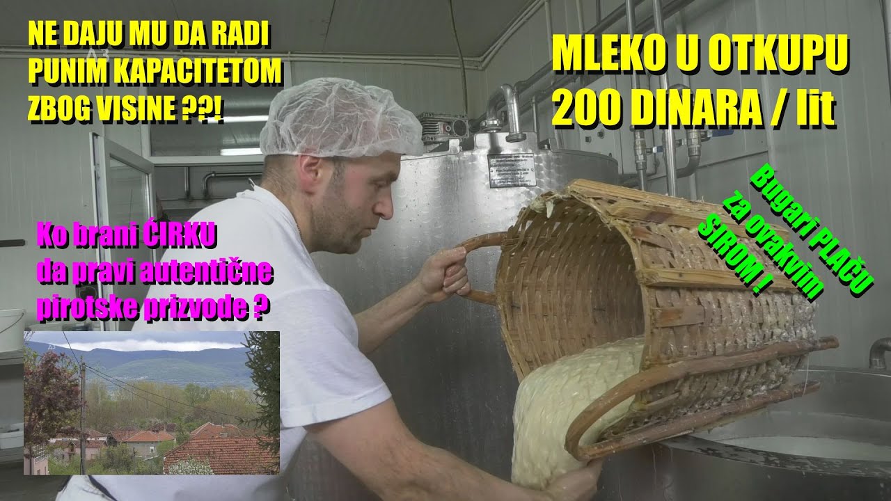LUDILO BIROKRATIJE- plaća MLEKO  - 200 din - ima PLASMAN  SIRA ne daju mu da radi ZBOG VISINE...