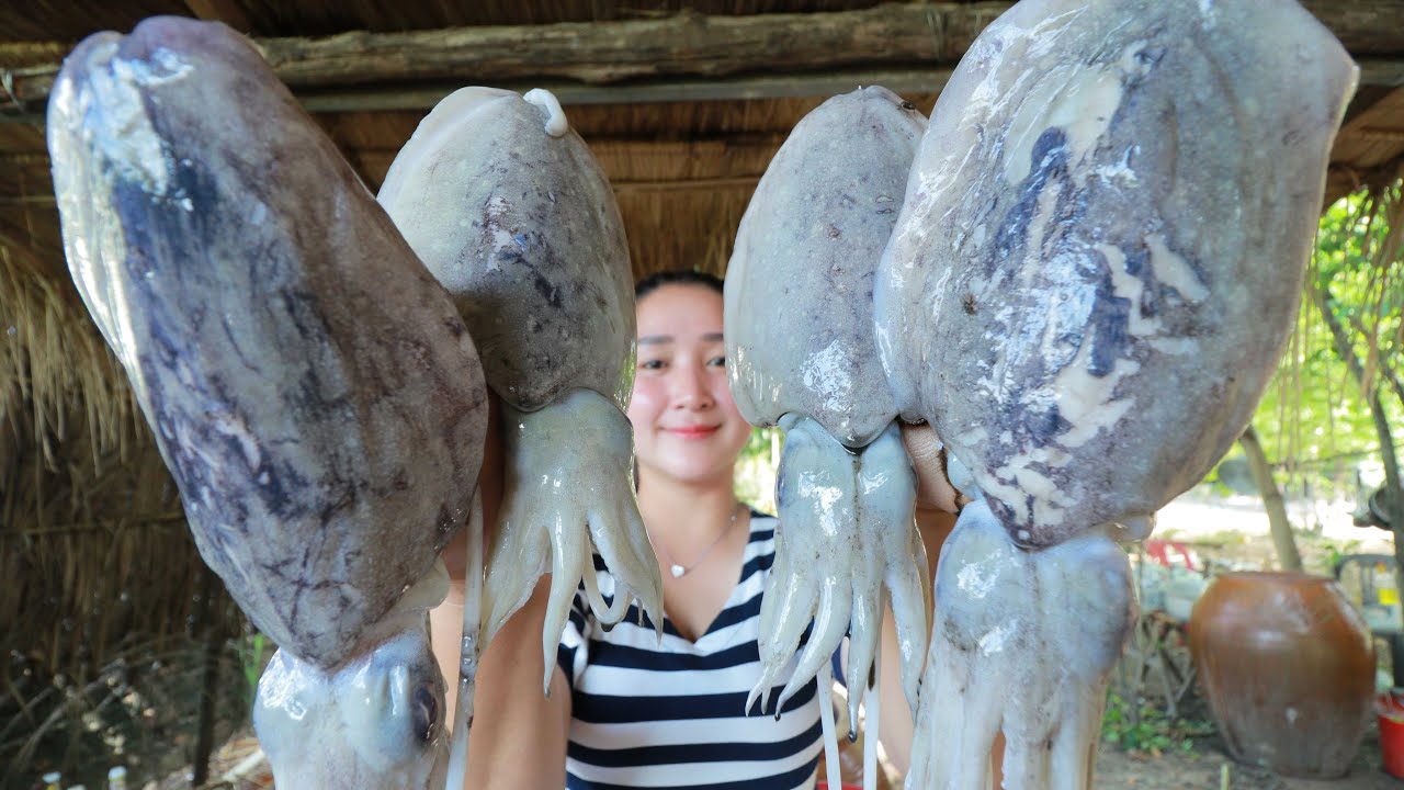 Cuttle Fish Stew Recipe - How Cuttle Fish Could Be Cooked