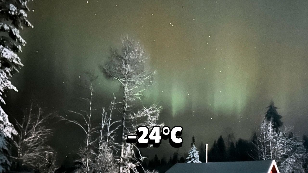 Happy New Year from Finland | -24C/freezing horses | 01.1.26