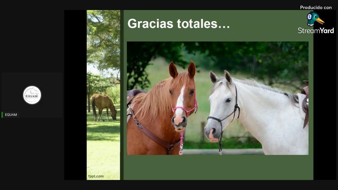 Protocolos de reanimación en equinos // Renso Sneider Gallego Rodríguez