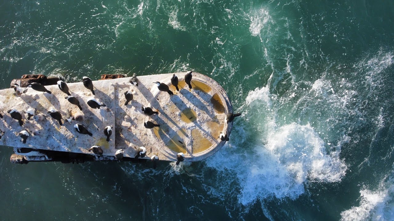 Alkimos Shipwreck up close (Shorehaven)