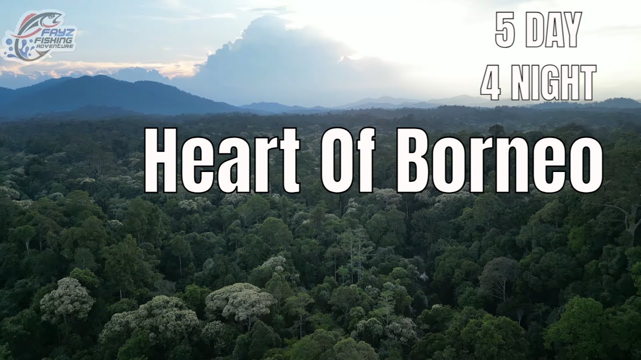 Hampir Gagal Pulang! 5 Hari 4 Malam Menembus Jantung Hutan Borneo Demi Ikan GODFISH - Fishing Camp 
