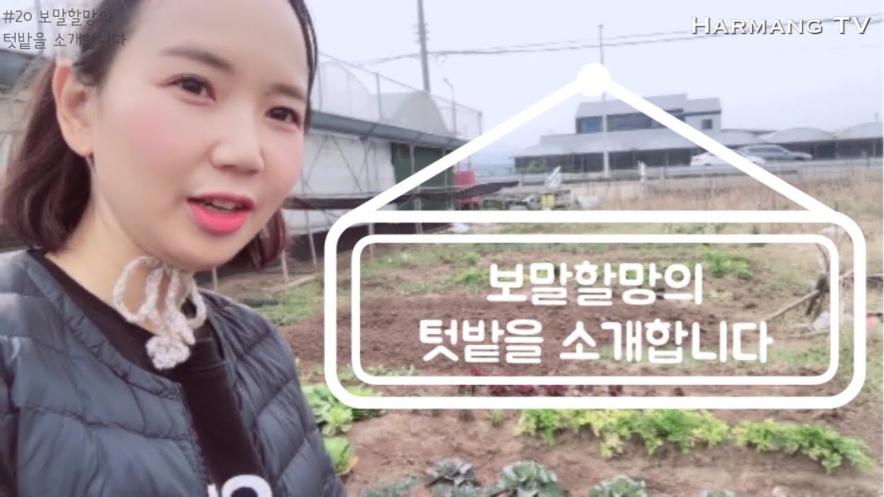 [할망TV#20] 보말할망의 텃밭을 소개합니다. 암환자의 텃밭가꾸기, 어싱이란?