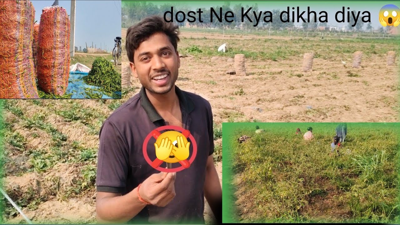 DOST Ne Kya dikha diya 😱 main dar Gaya 😒 aaj meri sari mirch Tut gai 👍