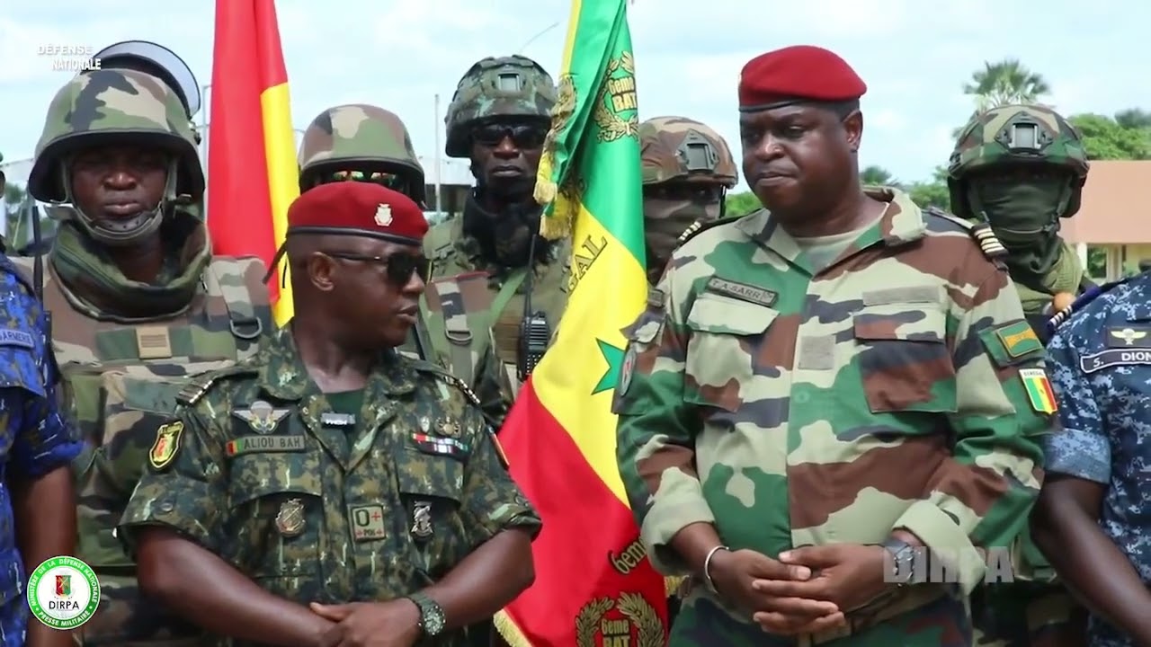 Opération Coup de Balai Guinée-Sénégal