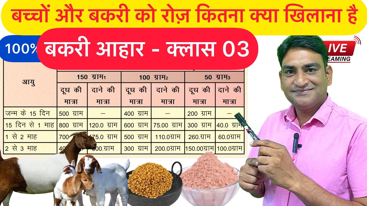 Goat Feed :Green & Dry Fodder || हरा व सूखा चारा ||Goat Farming बकरी पालन ||Nisar Indian, NLM