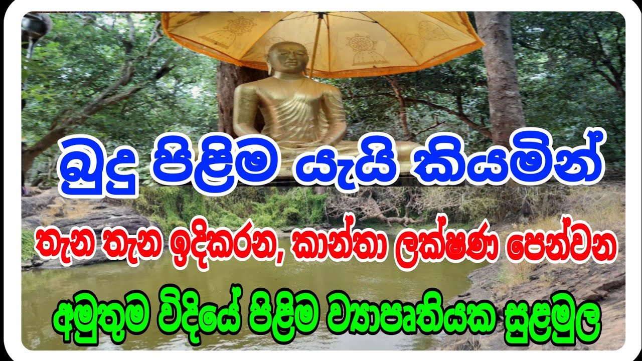 කාන්තා ලක්ෂණ හුවාදක්වන අමුතුම විදියේ බුදු පිළිම, වහා දැනුවත් වන්න, #siwhelatv #siwhela foundations 