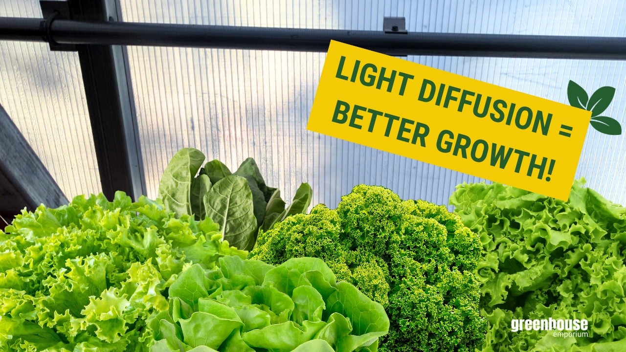 Why This Material is a Must for Your Greenhouse!