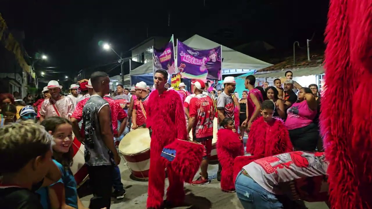 Carnaval 2026 Alto da Boa Vista, 2° sambada de ursos e bois, urso vermelho e branco São Lourenço mta