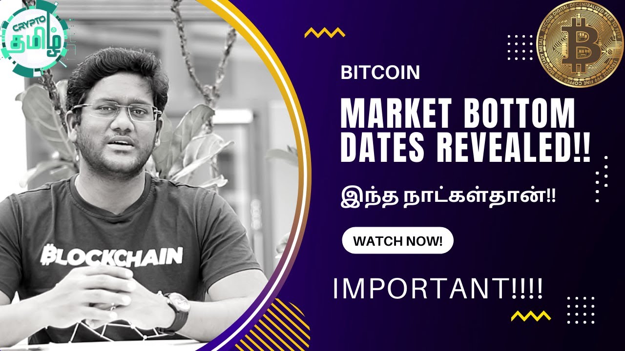 Important Bitcoin Bear Market Bottom Dates Revealed Crypto Tamil