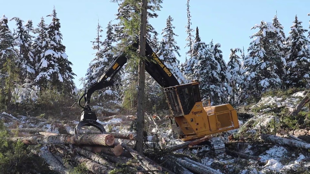 Tigercat 880D Hoechucking / Shovel Logging in Northern BC