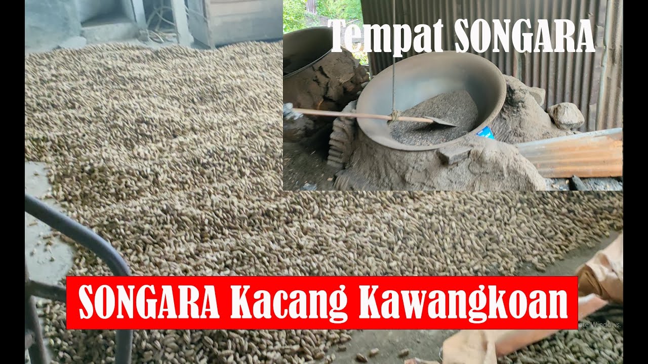 KINALI KAWANGKOAN MELIHAT UKM MEMBUAT SANGRAI SONGARA KACANG KAWANGKOAN YANG TERKENAL