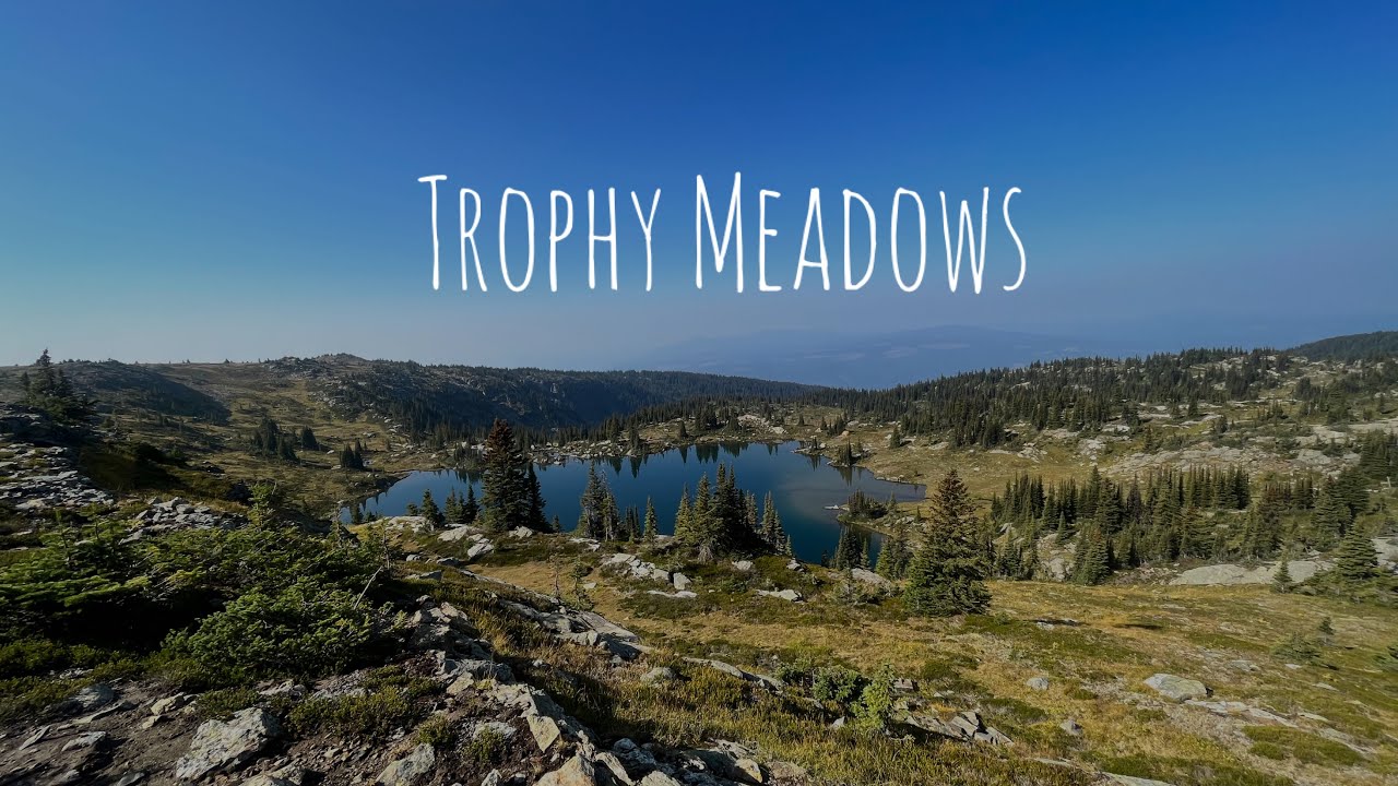 Trophy Meadows, Wells Gray Provincial Park