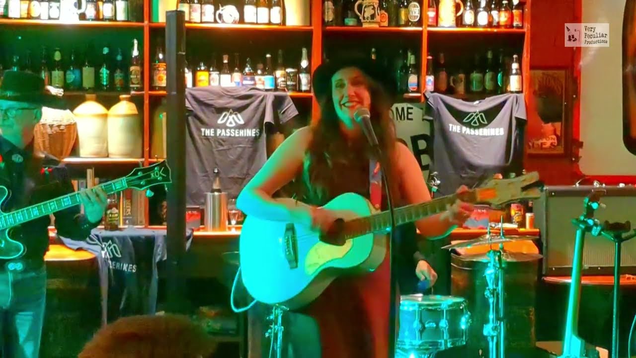 THE PASSERINES at The Merchant's Inn, Rugby, UK 2024 03 08 (Album Launch)