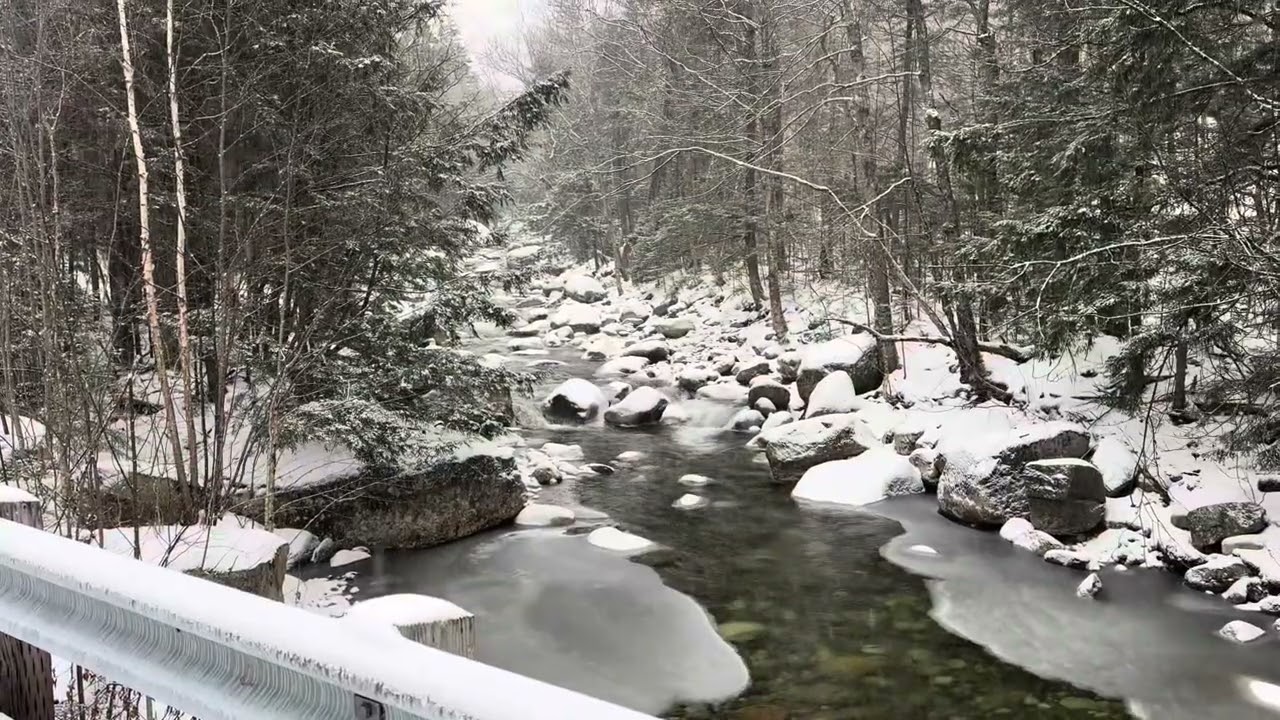 Хейл через пожарного смотрителя