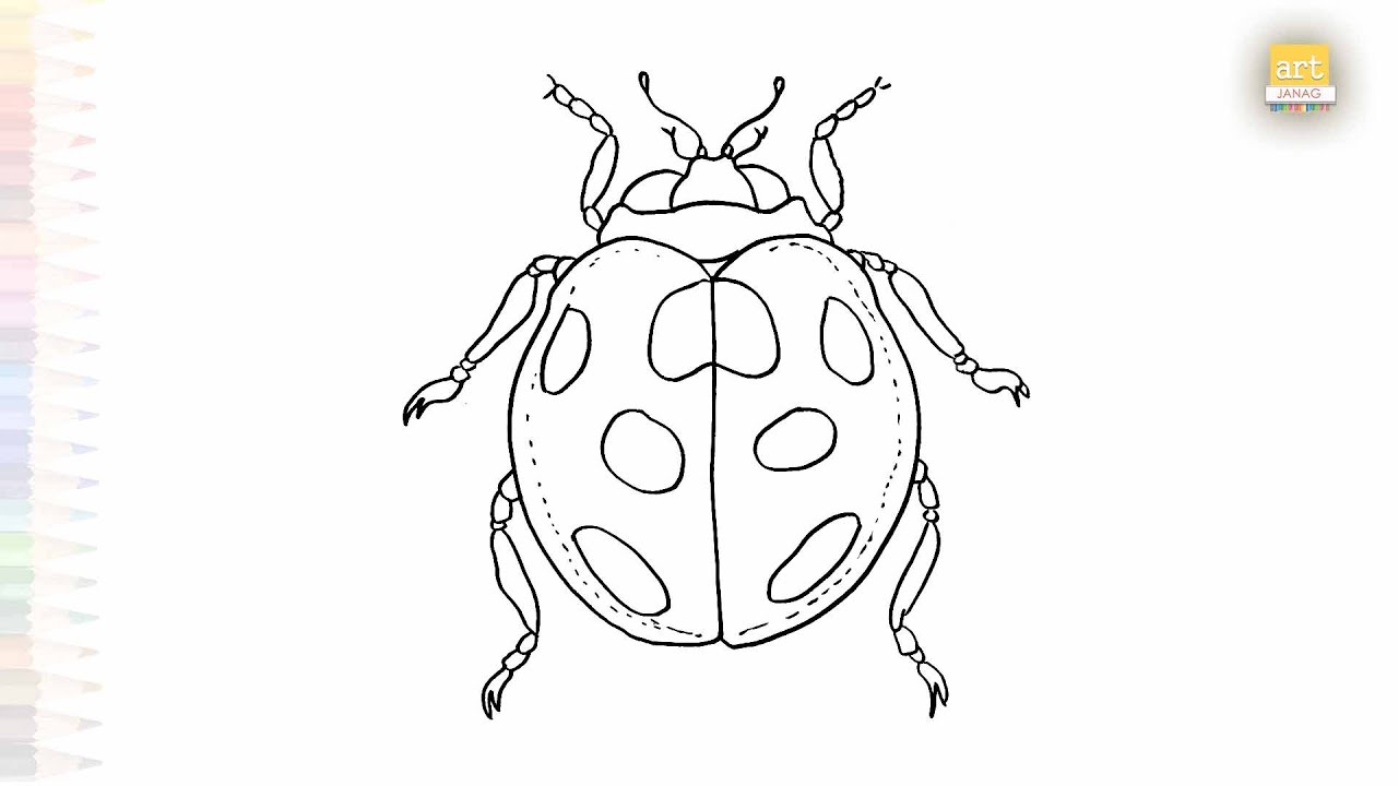 Coccinellidae drawing easy | Outline Art | How to draw A Ladybug step by step | #artjanag