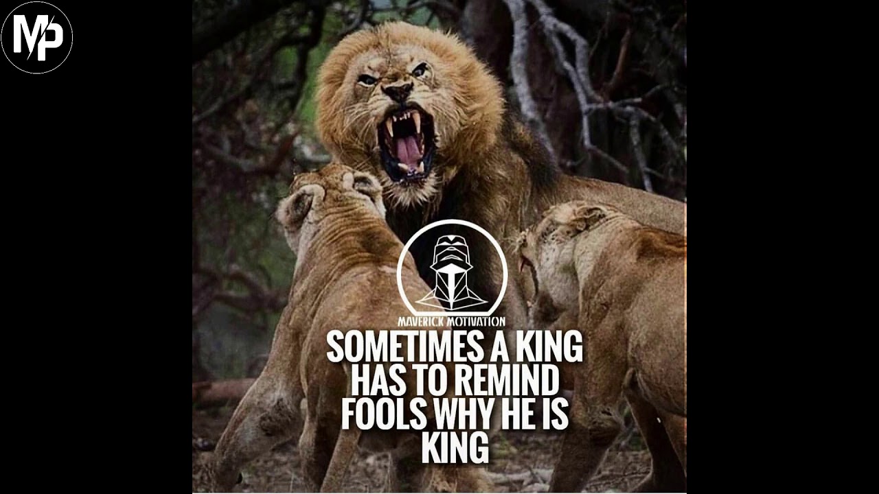 Lion Quotes for strong life | Lion quotes about Strength and Success | Motivational quotes