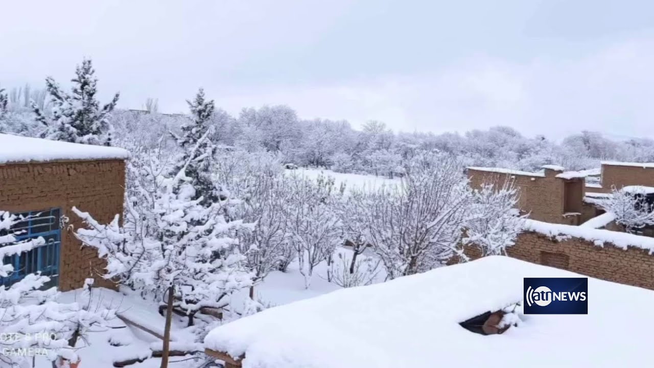 Snowfall blankets western Afghan provinces | بارش برف ولایت‌های غور، هرات و بادغیس را سفیدپوش کرد