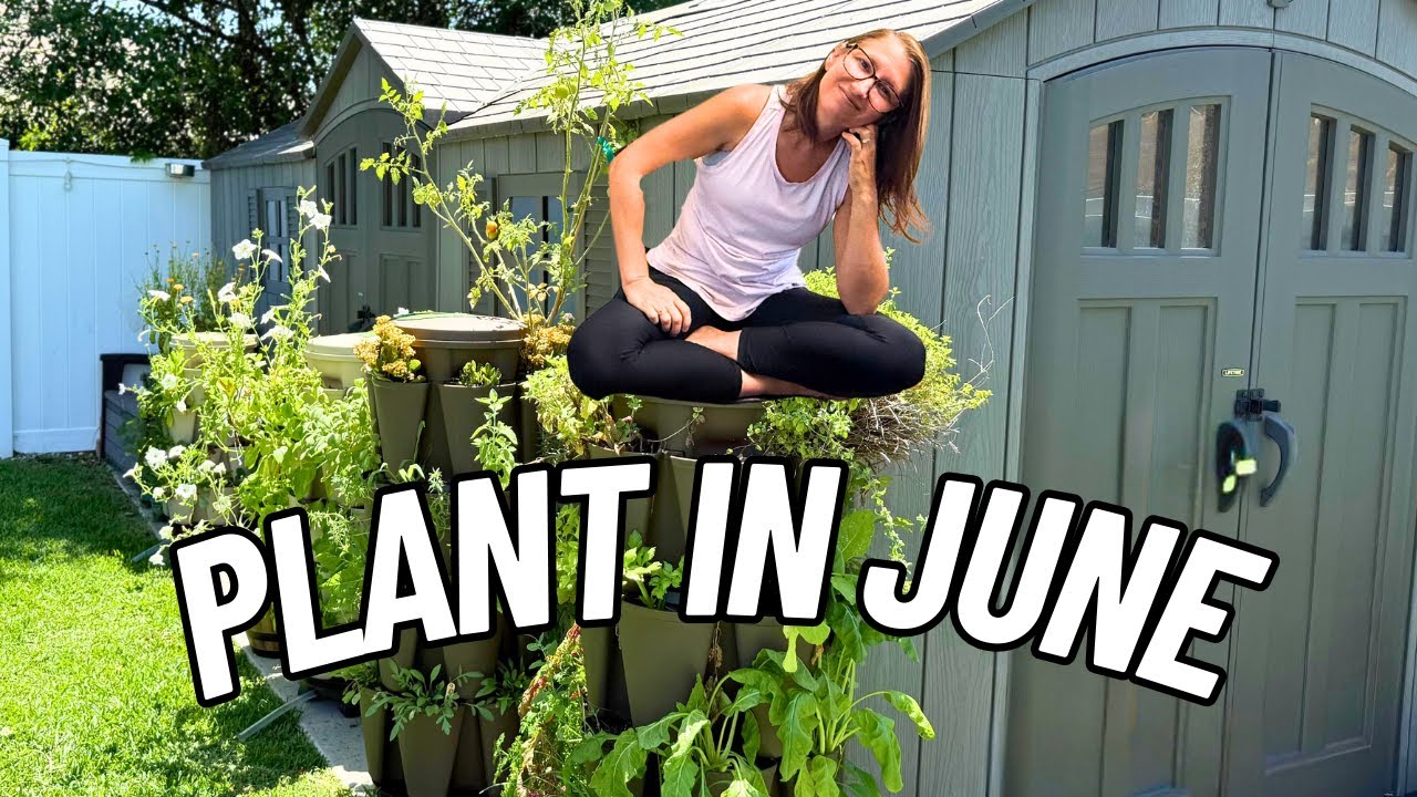 26 Awesome Veggies You Should Plant in June