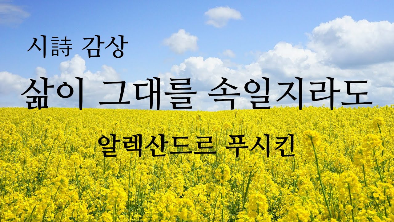 [시 감상] 알렉산드르 푸시킨 - '삶이 그대를 속일지라도'