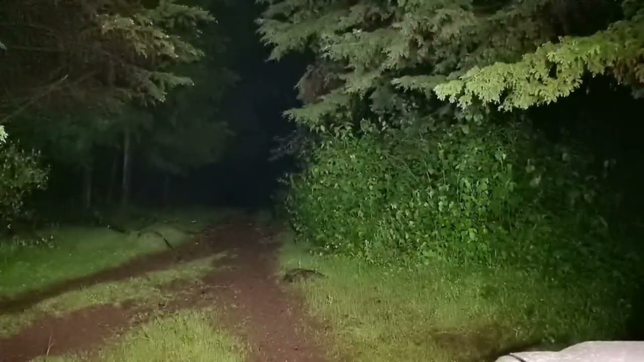 Terror Al Extremo está en vivo