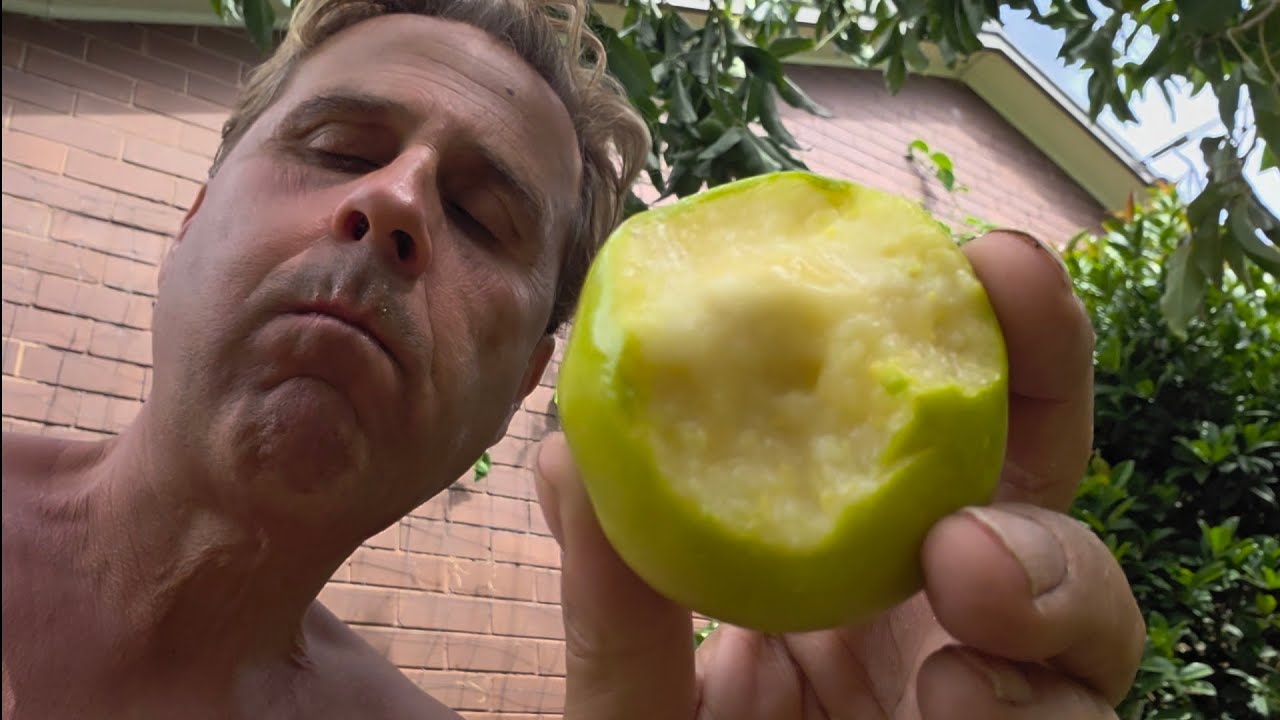 Early Summer Garden Tour: The First White Sapote Drop & Christmas Jaboticabas! 🎁