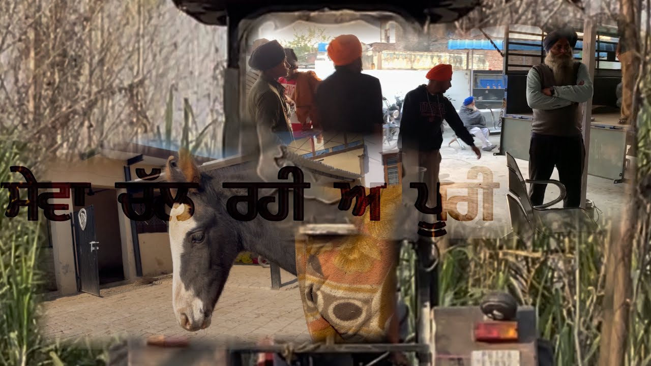 ਫ਼ਤਹਿਗੜ੍ਹ ਸਾਹਿਬ ਲਈ ਚੱਲ ਰਹੀ ਅ ਲੰਗਰ ਬਣਾਉਣ ਦੀ ਸੇਵਾ 