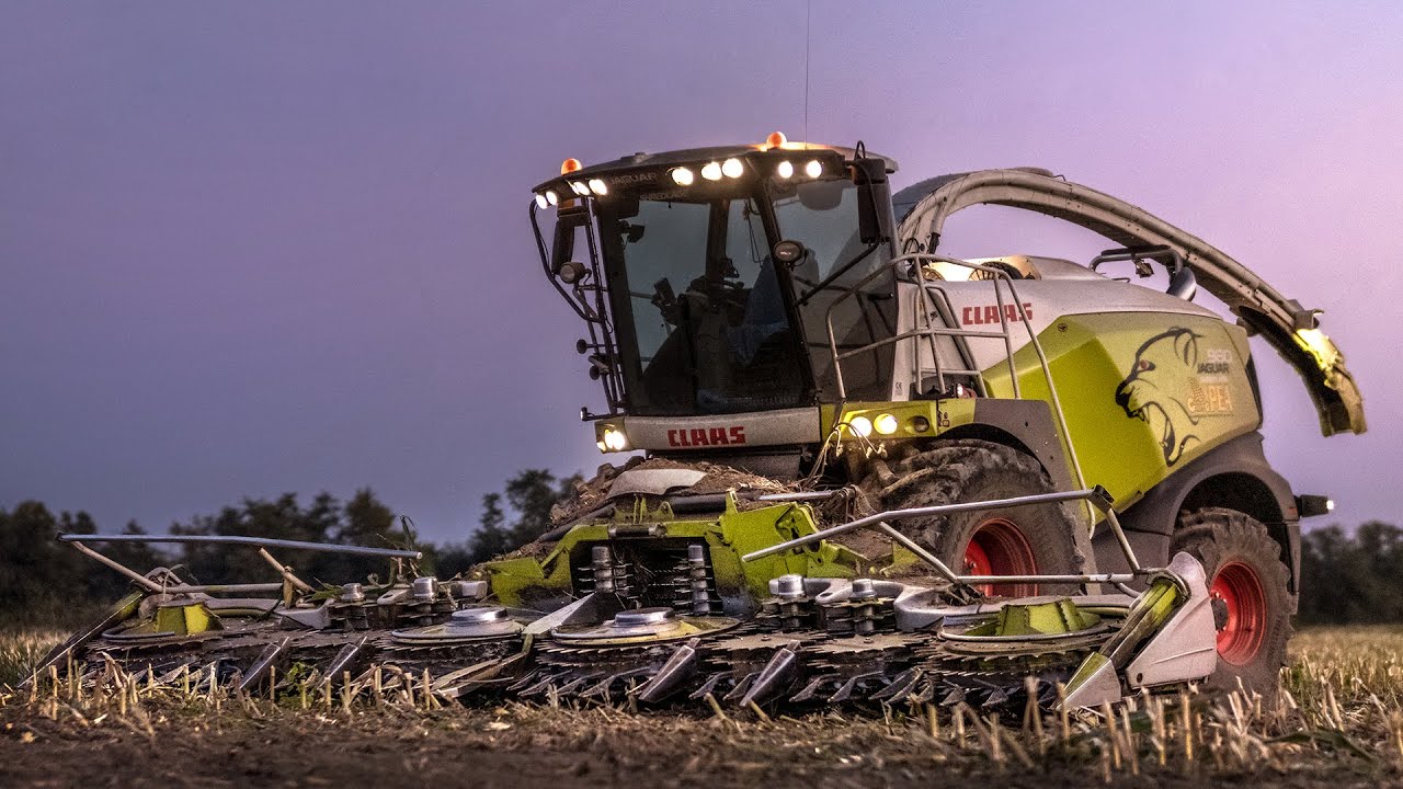 Claas Jaguar 980 Shredlage Special Edition | Corn Silage 2018 | Gruppo PEA