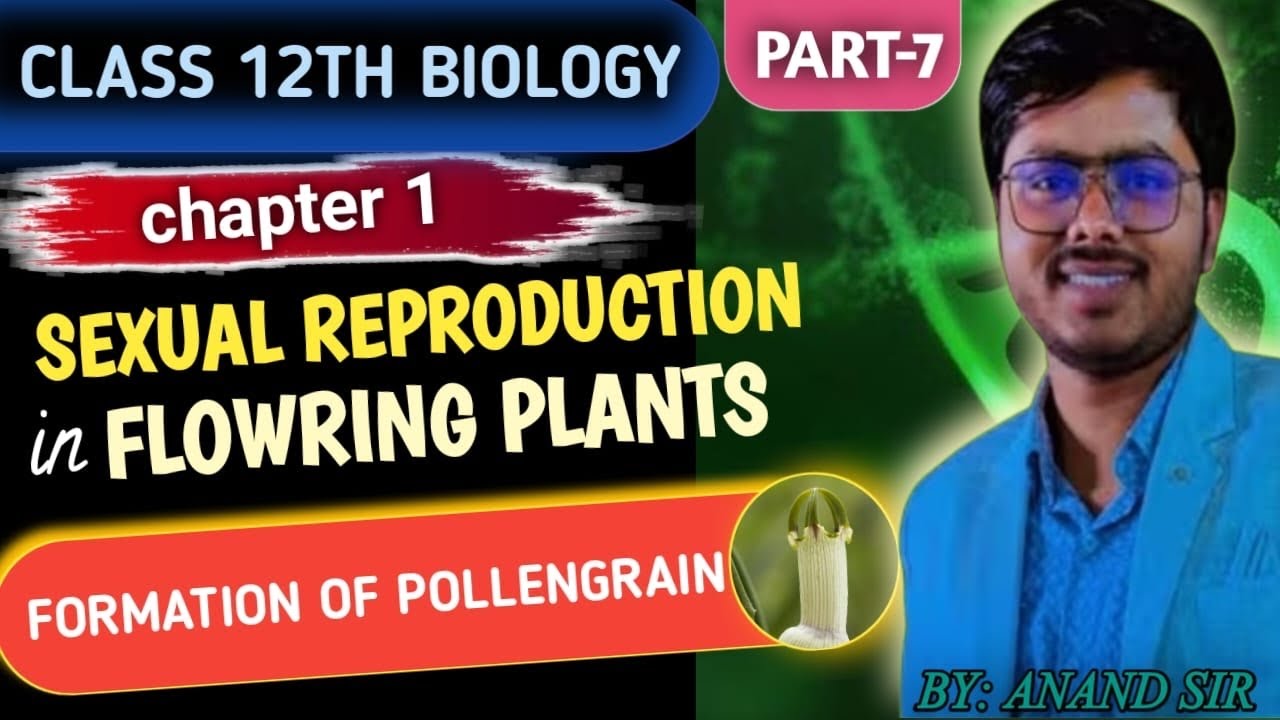 Class 12th Chapter-1 Formation Of Pollen Grain