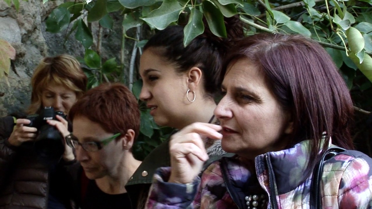 Coccodrilli, squali, tartarughe. Storie di fossili a Cagliari e nell'area urbana -Anteprima