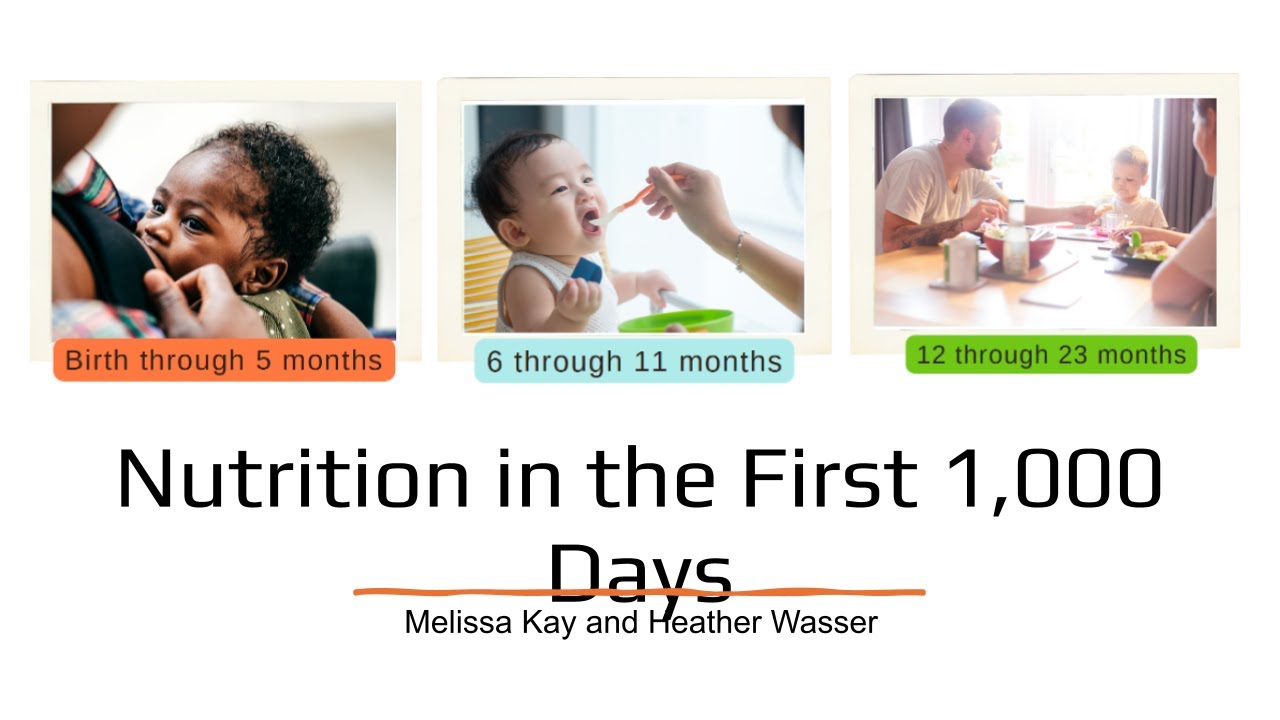 Nutrition in the first 1000 days
