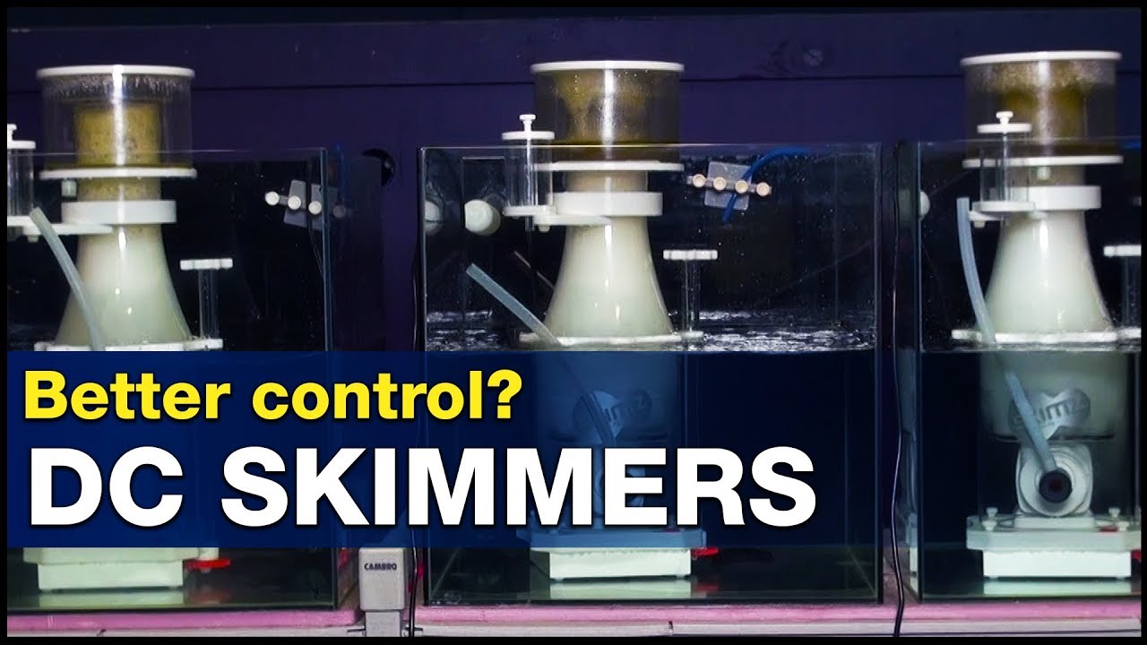 Are DC protein skimmers King? Advanced control & tuning by changing pump speed? | BRStv Investigates