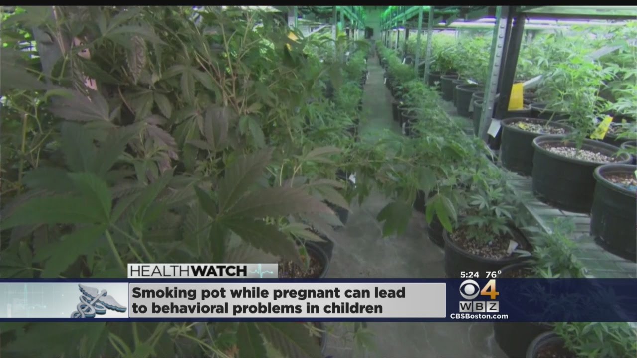 Smoking Pot While Pregnant Can Lead To Behavioral Problems In Children